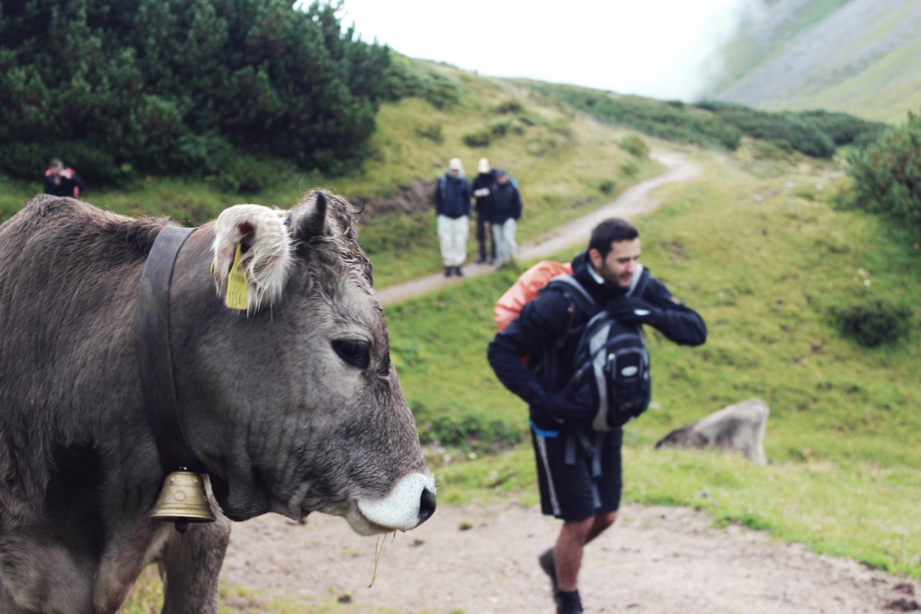 Auf den Gipfel, Fertig, Los! Vol. 2